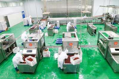 浙江名企“百草味”新疆工廠投產(chǎn)，助推新疆食品產(chǎn)業(yè)升級與區(qū)域協(xié)同發(fā)展