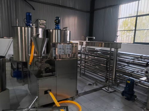 仿生智造領(lǐng)風(fēng)潮 2025年大荔縣大朝食品廠魔芋加工設(shè)備標(biāo)桿解析